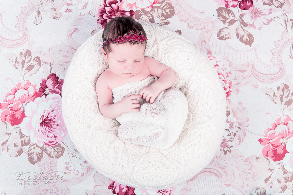 babyfotos babyfotograf neugeborenenfotos neugeborenenfotograf neugeborene shooting fotograf fotos nürnberg fürth erlangen zirndorf babys