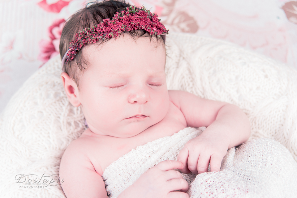 babyfotos babyfotograf neugeborenenfotos neugeborenenfotograf neugeborene shooting fotograf fotos nürnberg fürth erlangen zirndorf babys