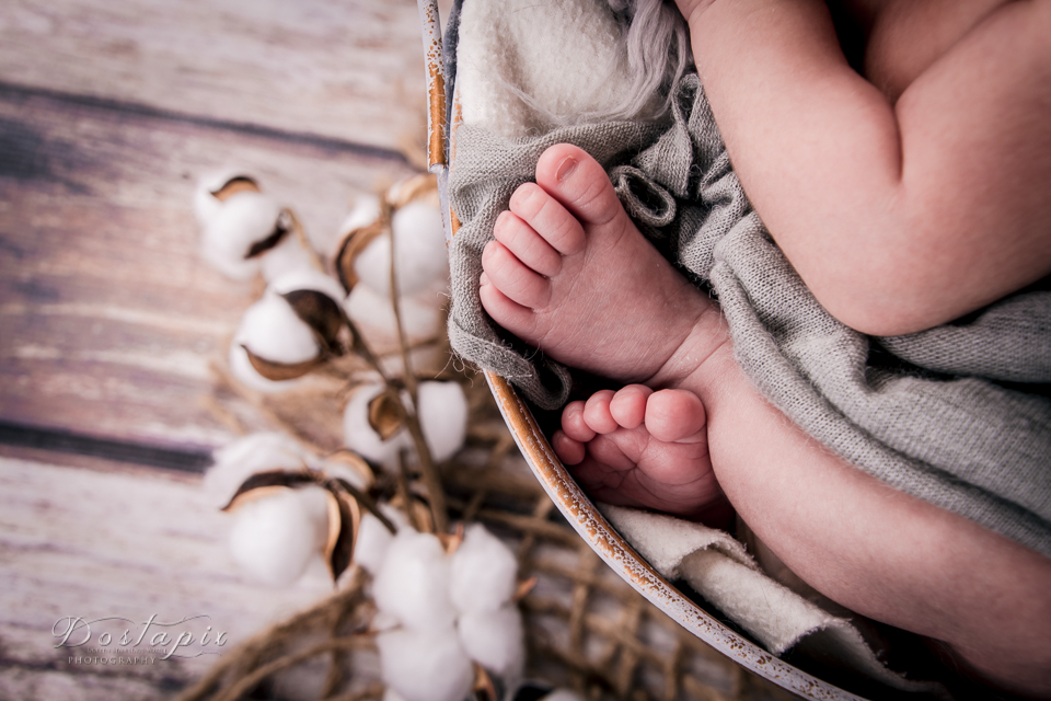 babyfotos babyfotograf babyfoto babygalerie neugeborenenfotos neugeborenenfotograf neugeboren shooting fotograf fotos nürnberg fürth erlangen zirndorf babys