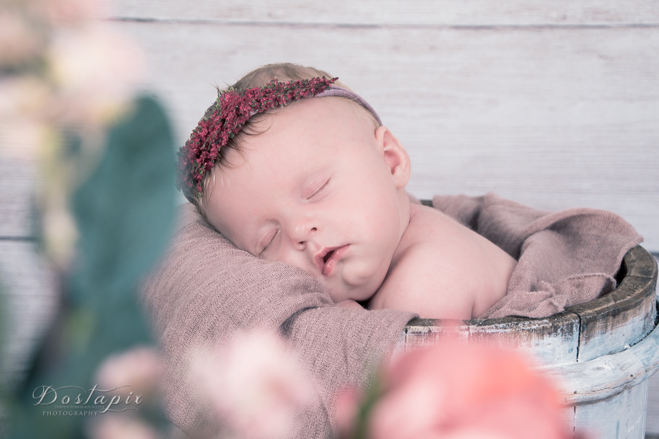 babyfotos babyfotograf neugeborenenfotos neugeborenenfotograf neugeborene shooting fotograf fotos nürnberg fürth erlangen zirndorf babys