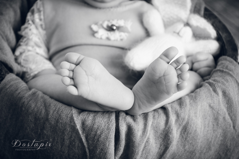 babyfotos babyfotograf neugeborenenfotos neugeborenenfotograf neugeborene shooting fotograf fotos nürnberg fürth erlangen zirndorf babys