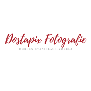 Dostapix Logo2021_1
